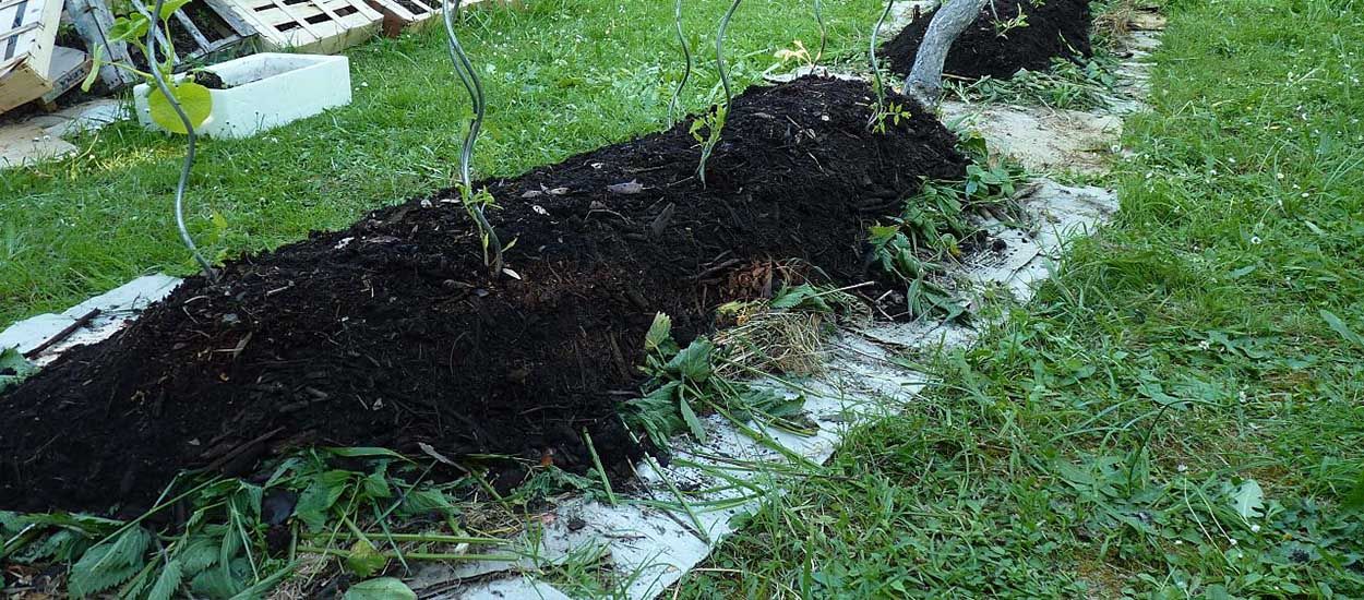 Comment fabriquer un potager en lasagne avec des déchets végétaux ?