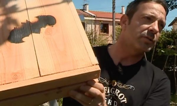 Ils hébergent des chauves-souris chez eux pour chasser les moustiques