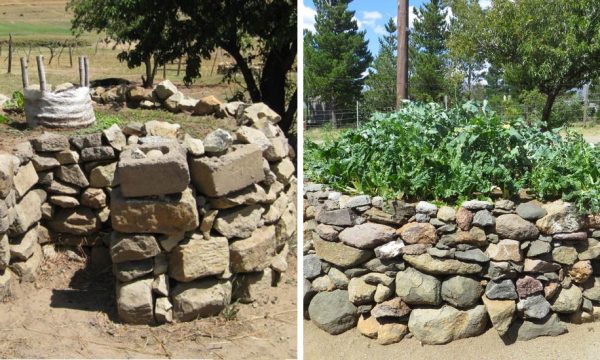 Keyhole Garden : avec le potager en trou de serrure, cultivez fruits et légumes à l'infini