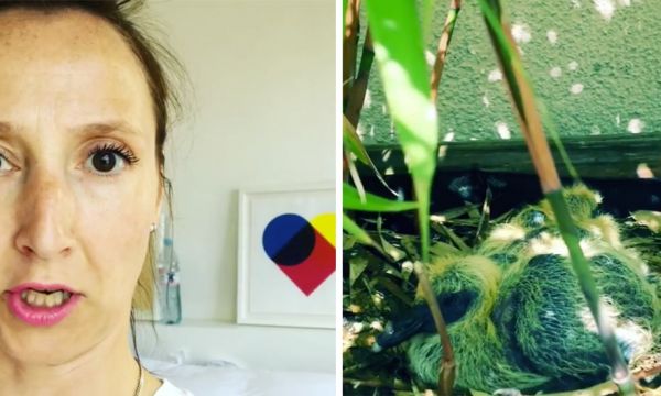 Audrey Lamy présente les bébés pigeons nés sur son balcon (vous allez mourir de rire) !