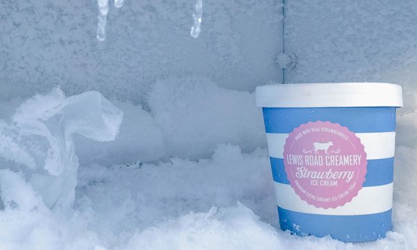 La bio-climatisation, solution plus écologique que la clim' pour un été au frais