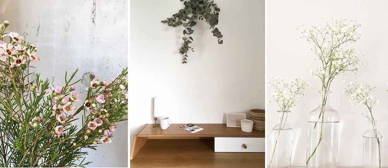 Gypsophile, eucalyptus, wax : voici les 3 bouquets tendance de l'été