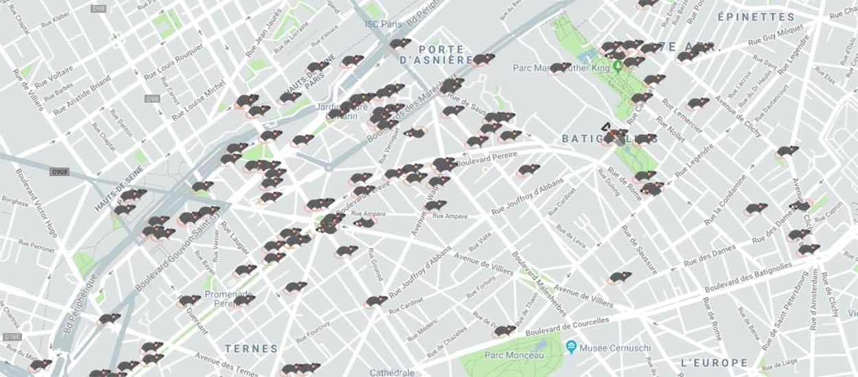 Signalez la présence de rats dans votre quartier sur cette carte interactive