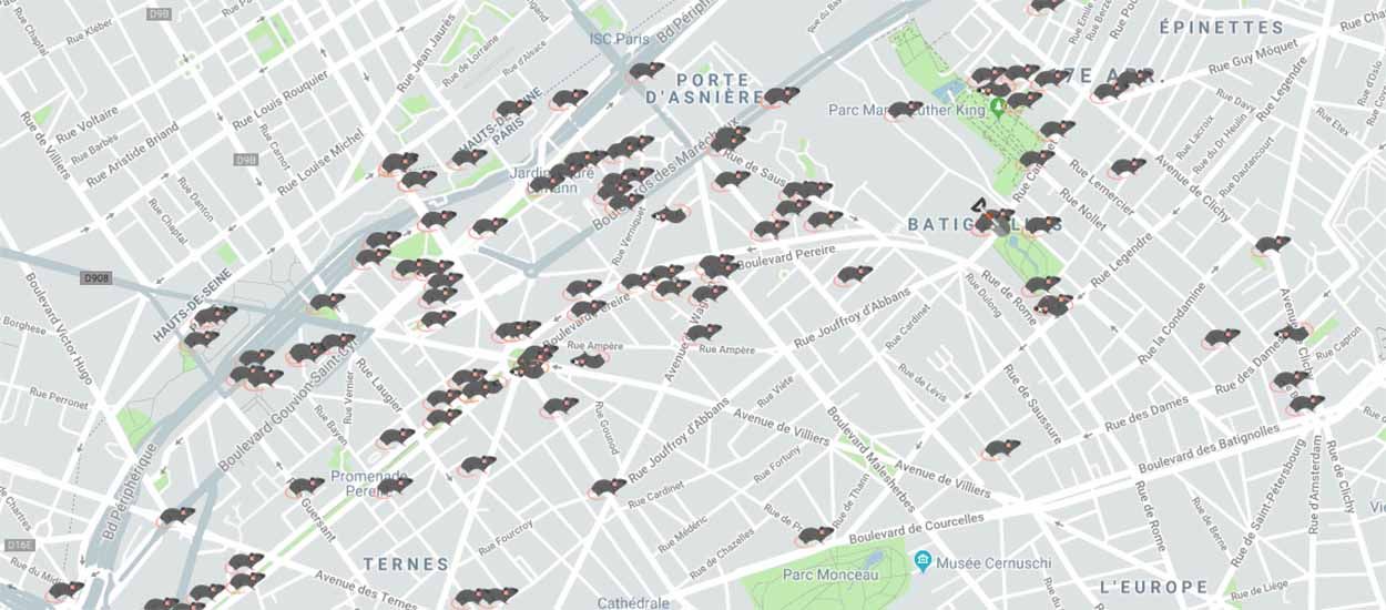 Signalez la présence de rats dans votre quartier sur cette carte interactive