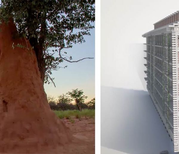 Cet immeuble s'inspire des prouesses des termites pour se passer de clim'