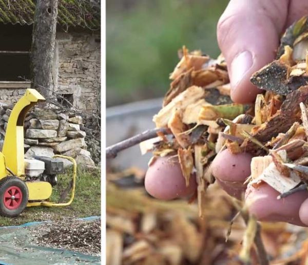 Découvrez le BRF, une alternative aux engrais chimiques, pour rendre votre jardin plus fertile