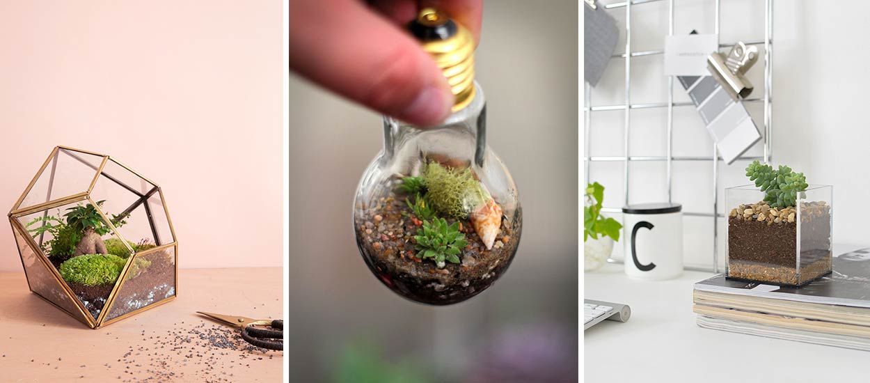 16 tutos de terrariums plus tendance les uns que les autres