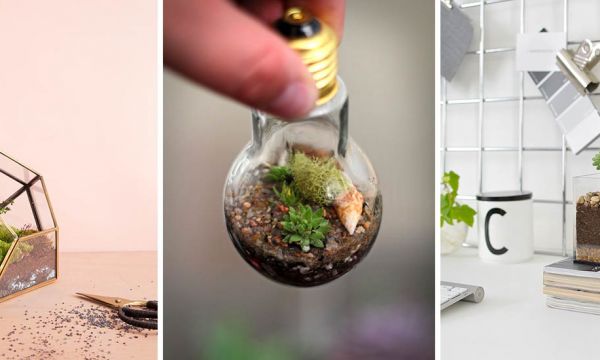 16 tutos de terrariums plus tendance les uns que les autres