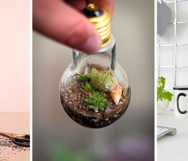 16 tutos de terrariums plus tendance les uns que les autres