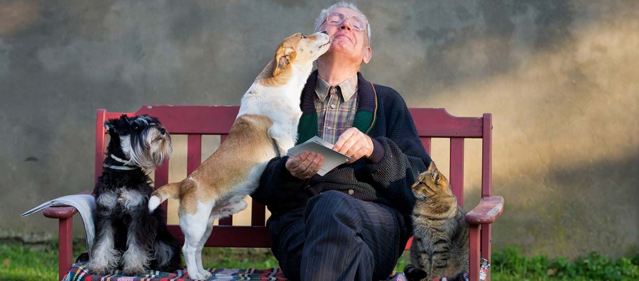 Ce refuge prête des animaux de compagnie aux personnes âgées pour rompre leur isolement