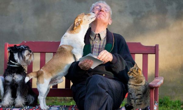 Ce refuge prête des animaux de compagnie aux personnes âgées pour rompre leur isolement