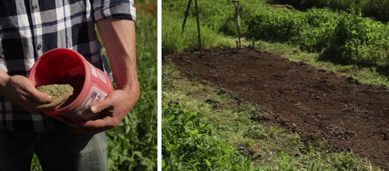 Voici comment utiliser votre compost dans votre jardin et amender vos plantations
