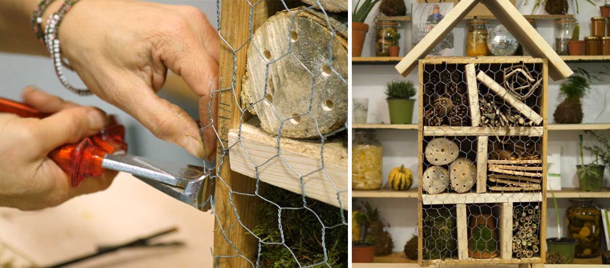 Tuto : Fabriquez un hôtel à insectes et favorisez la biodiversité dans votre jardin