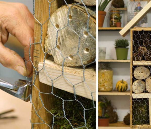 Comment construire un hôtel à insecte pour favoriser la biodiversité ?
