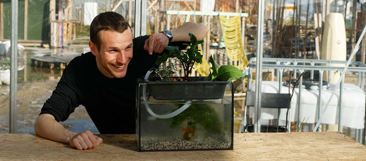 Comment fabriquer un module aquaponique pour potager d'intérieur ?