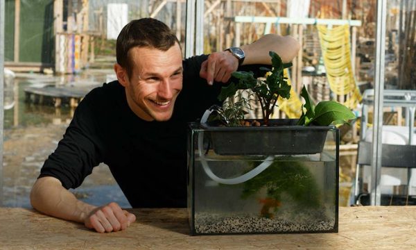 Comment fabriquer un module aquaponique pour potager d'intérieur ?