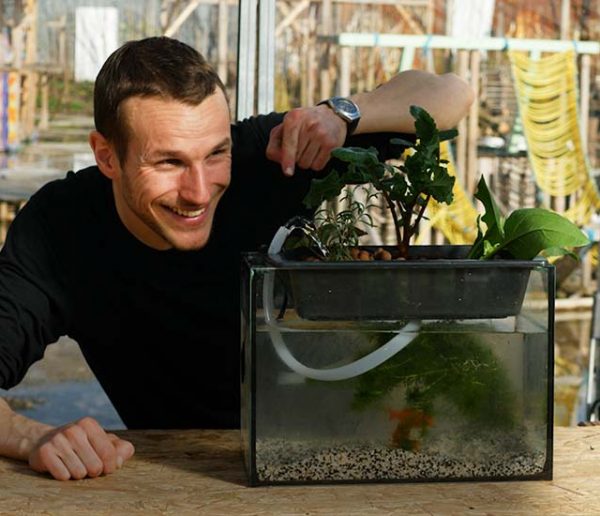 Comment fabriquer un module aquaponique pour potager d'intérieur ?