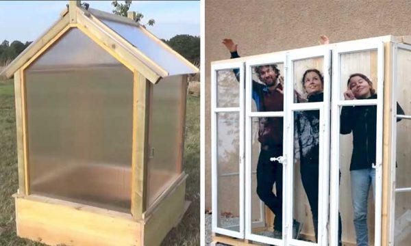 8 idées pour fabriquer une petite serre dans un jardin ou balcon