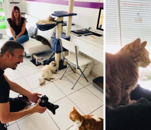 Ils ont ouvert une pension pour chats pendant les vacances