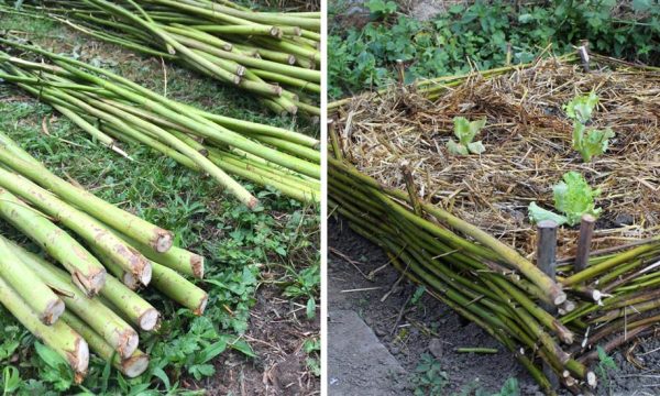 Tuto : Aménagez un carré potager avec des branches tressées pour zéro euro