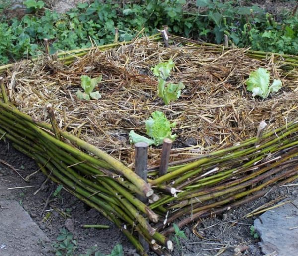 Tuto : Aménagez un carré potager avec des branches tressées pour zéro euro