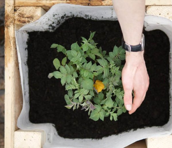 Tuto : Construisez une tour à patates, idéale pour les balcons et terrasses