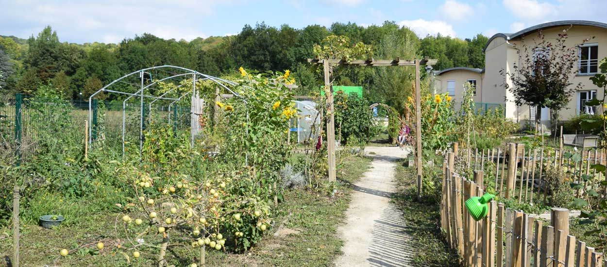 Jardin thérapeutique : et si l'on soignait Alzheimer en plantant des tomates ?