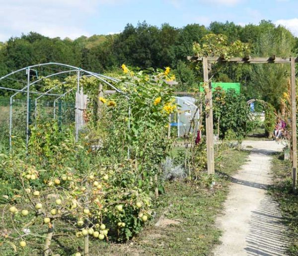 Potager et Permaculture