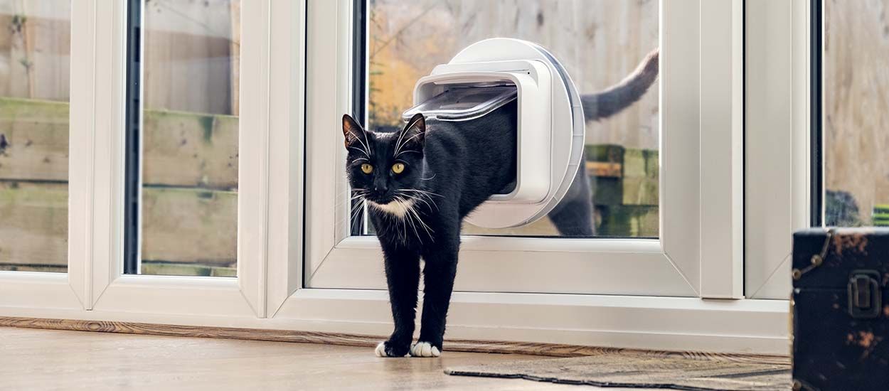 Cette chatière connectée empêche le chat du voisin d'entrer chez vous !