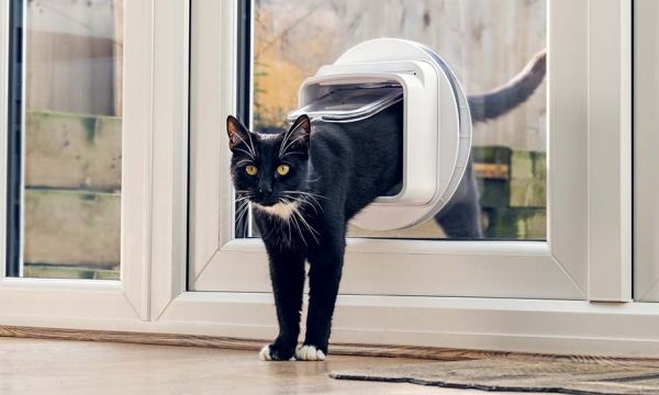 Cette chatière connectée empêche le chat du voisin d'entrer chez vous !