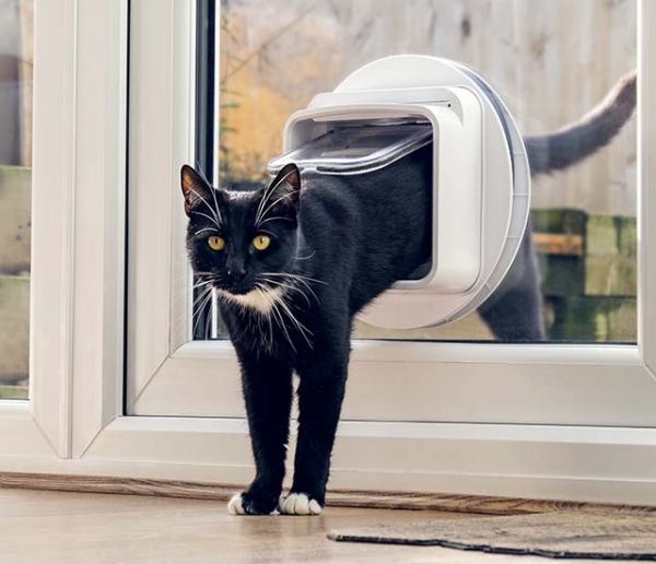 Sureflap Une Chatiere Electronique Et A Puce Pour Surveiller Votre Chat