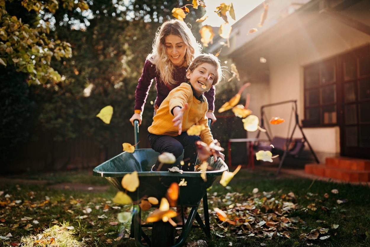 Marrons, feuilles d'automne et pommes de pin : 10 activités à faire avec les enfants