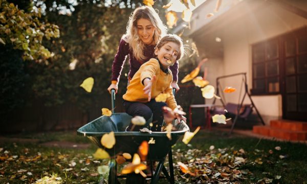 Marrons, feuilles d'automne et pommes de pin : 10 activités à faire avec les enfants