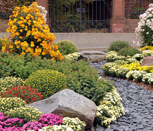 10 fleurs et graminées à planter dans votre jardin pour de jolies couleurs d'automne