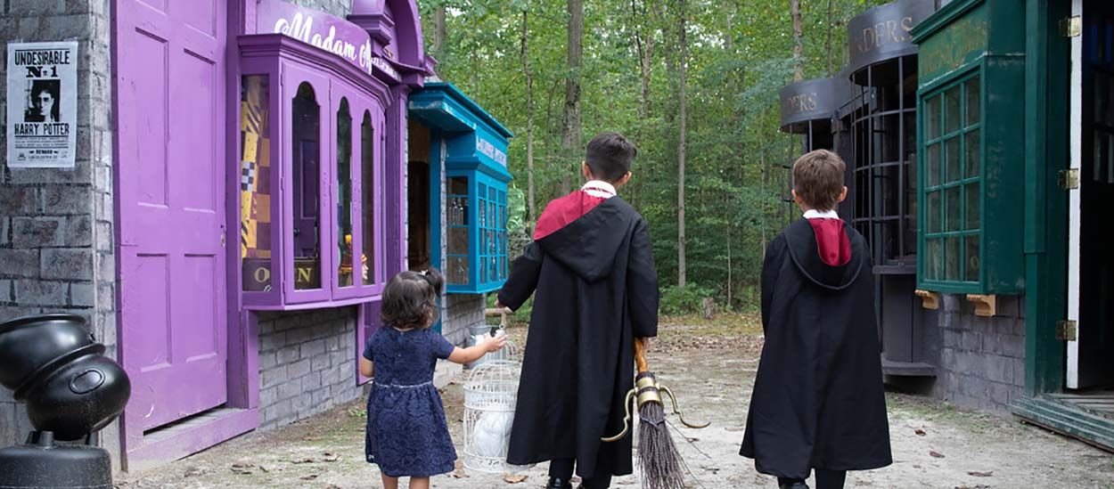 Ces super parents ont recréé le Chemin de Traverse d'Harry Potter pour leur fille !