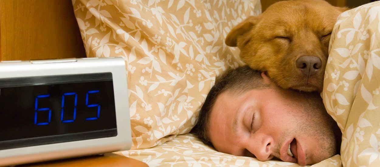 Vous voulez dormir avec votre animal ? Voici 5 conseils pratiques pour une nuit sans encombre