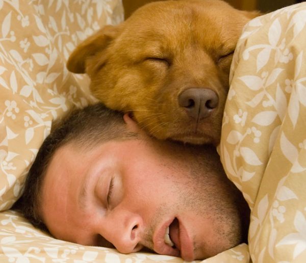 Vous voulez dormir avec votre animal ? Voici 5 conseils pratiques pour une nuit sans encombre