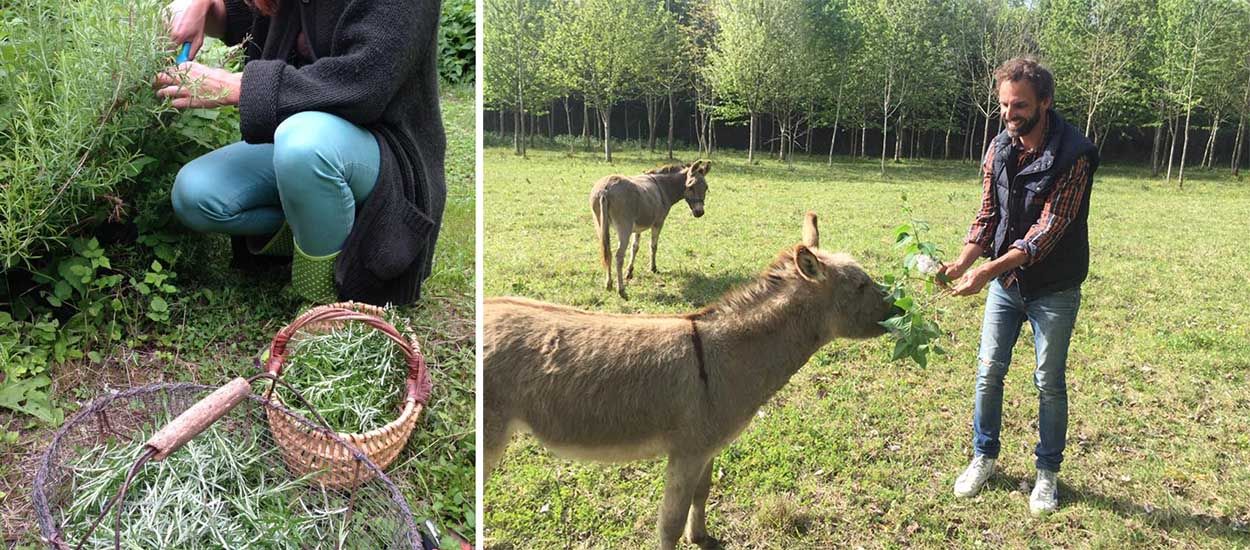 Il restaure le corps de ferme de ses grands-parents pour se lancer dans la permaculture