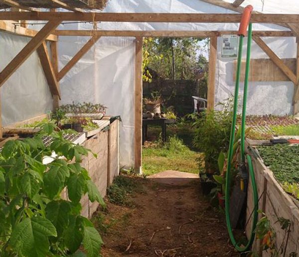 Comment monter le bac de permaculture en bois naturel de Jardin et