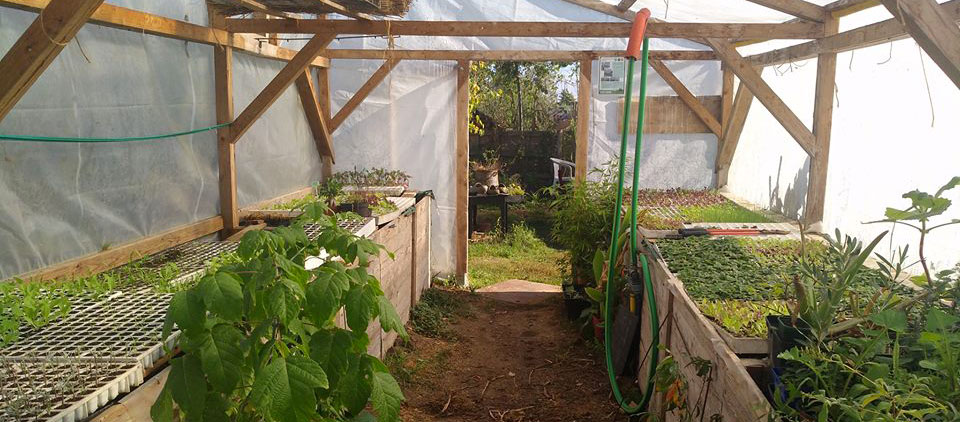Comment fabriquer et aménager une serre en permaculture ?