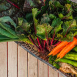 Un cageot de légumes d'automne, avec carottes navets poireaux et salades