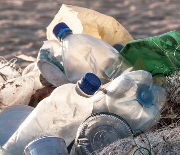10 objets en plastique de la maison qui finissent dans les océans, à remplacer facilement !
