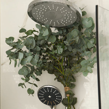 Pourquoi accrocher de l'eucalyptus dans sa douche est une bonne idée ?