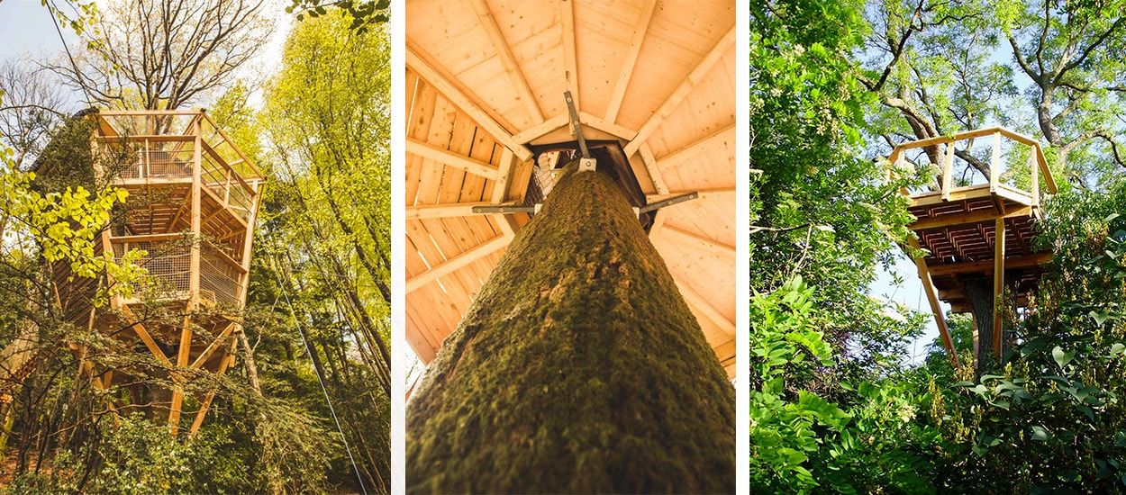 Comment construire une cabane en bois perchée en toute sécurité ?
