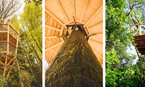 Comment construire une cabane en bois perchée en toute sécurité ?