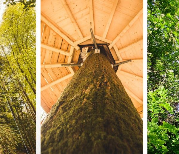 Comment construire une cabane en bois perchée en toute sécurité ?