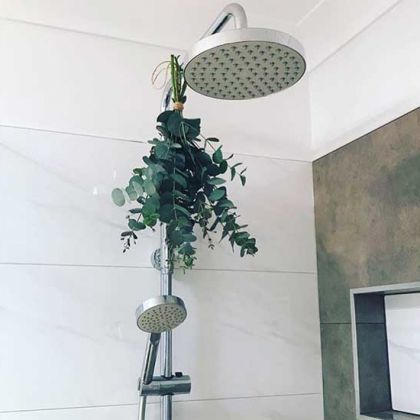 Pourquoi accrocher de l'eucalyptus dans sa douche est une bonne idée ?