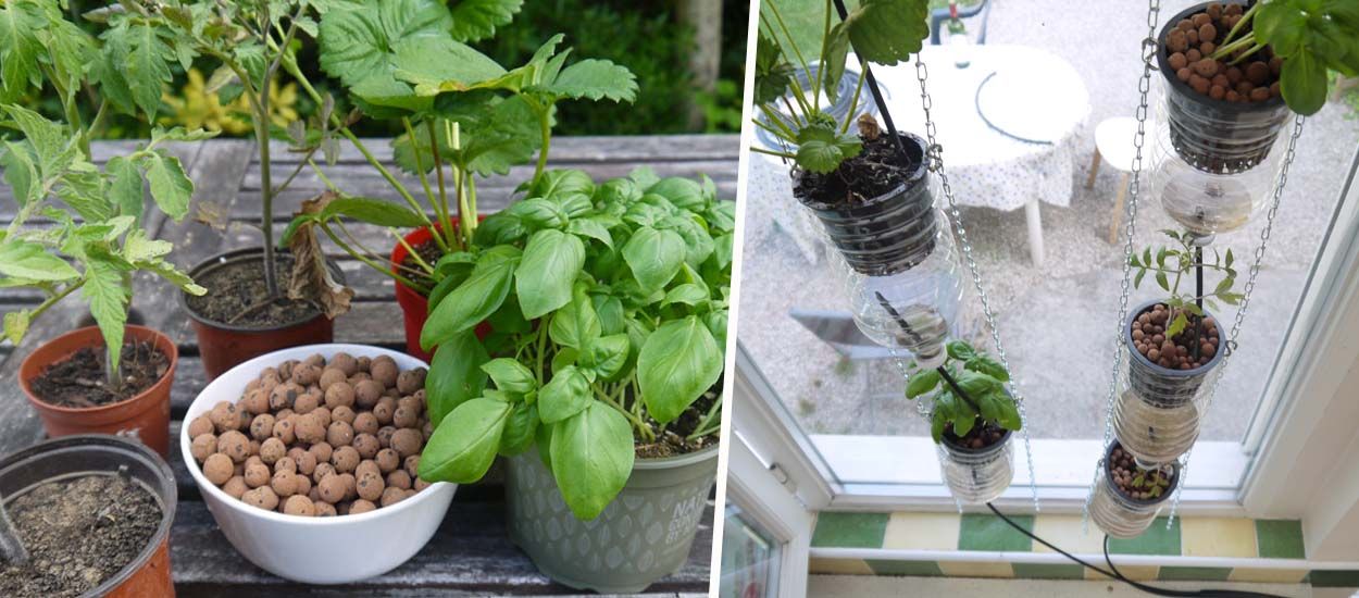 Tuto : fabriquez votre propre ferme de fenêtre pour cultiver, même sans jardin !