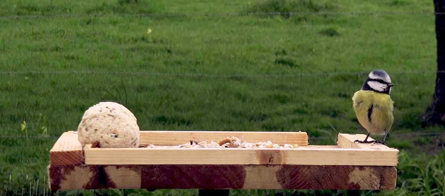 Plateau couvert  Mangeoires pour oiseaux faites maison, Maisons d