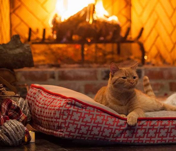 Choisissez la vidéo de feu de cheminée qui vous détendra et vous réconfortera